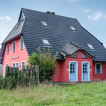 Lägenhet Kranichhus Kranich 3 *